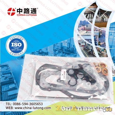 junta bomba inyectora tdi